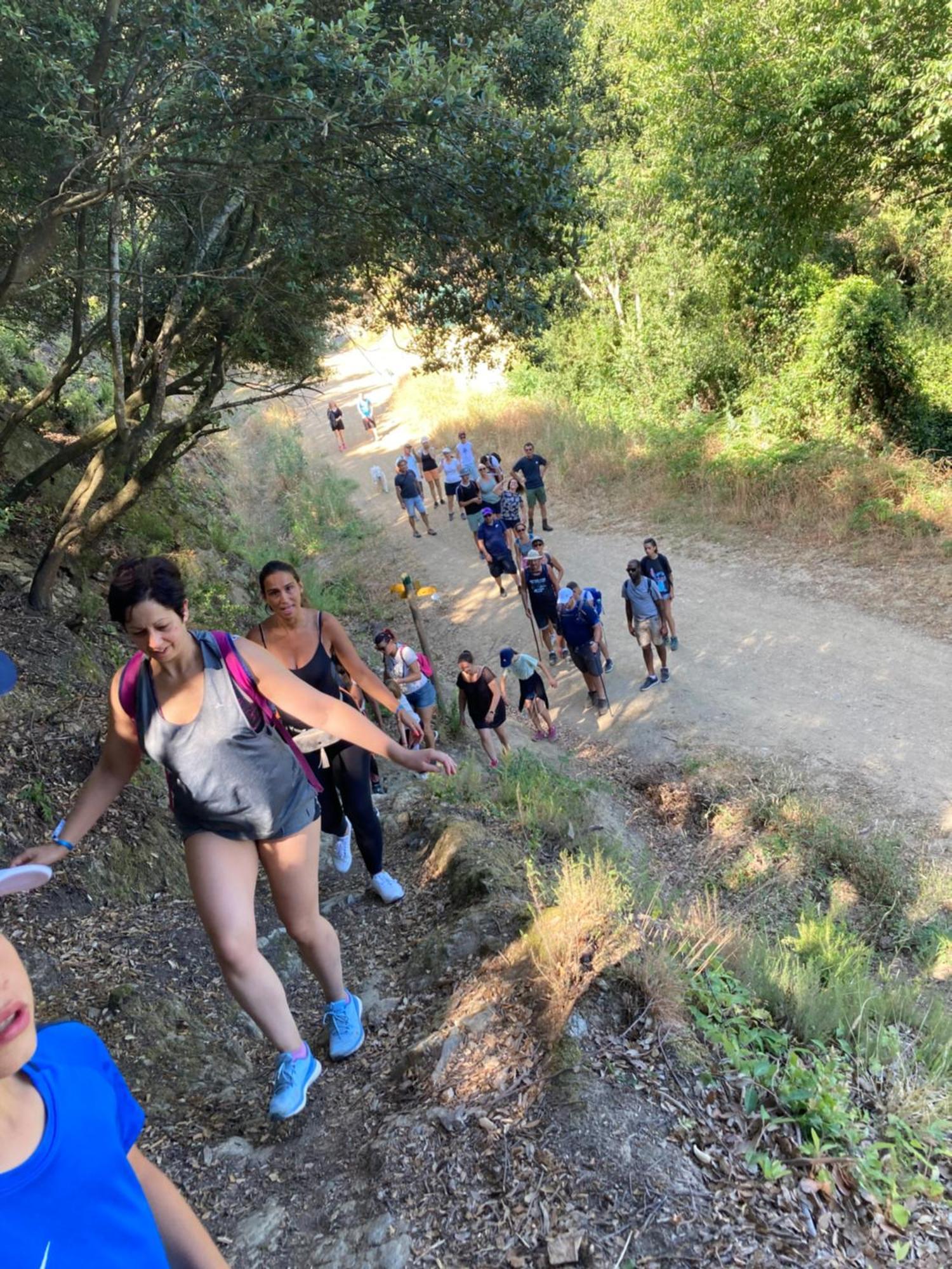 Camping Des Alberes Laroque-des-Alberes Bagian luar foto